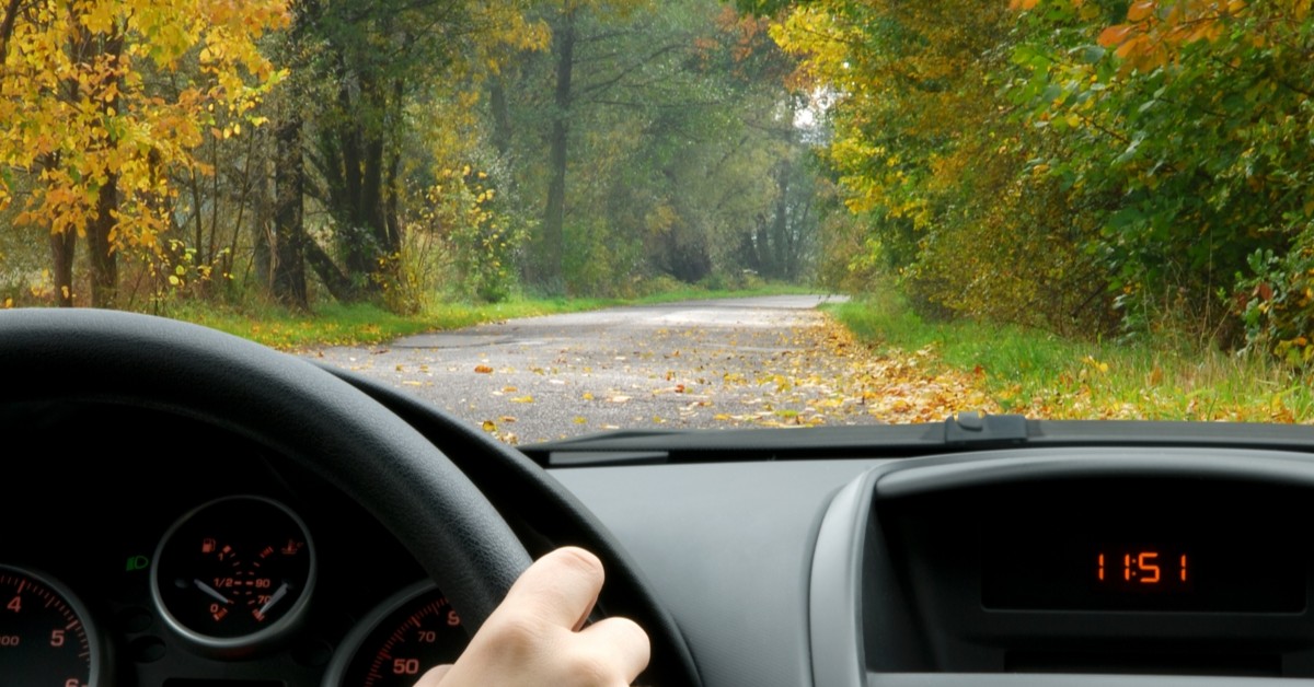 View of road with trees from inside a car